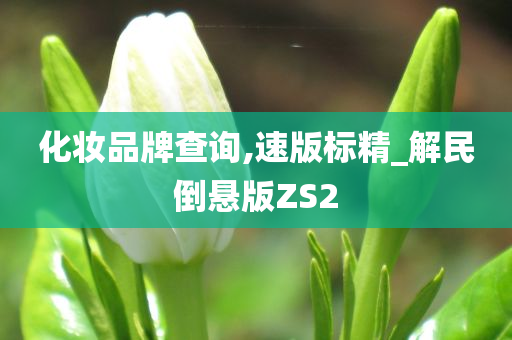 化妆品牌查询,速版标精_解民倒悬版ZS2