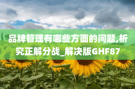 品牌管理有哪些方面的问题,析究正解分战_解决版GHF87