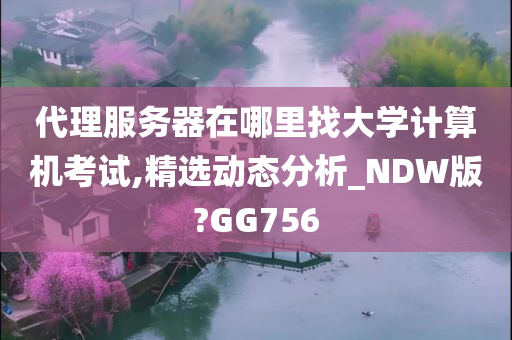 代理服务器在哪里找大学计算机考试,精选动态分析_NDW版?GG756