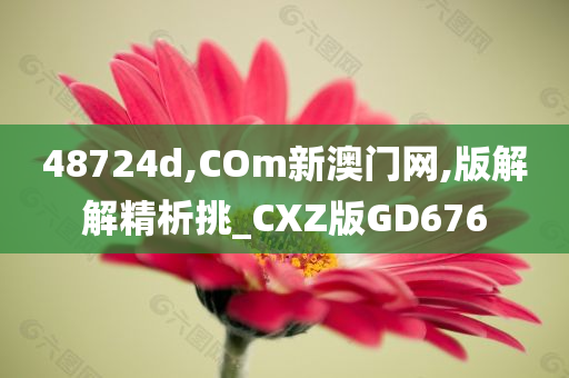 48724d,COm新澳门网,版解解精析挑_CXZ版GD676