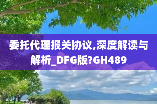 委托代理报关协议,深度解读与解析_DFG版?GH489