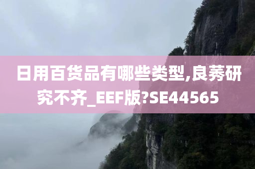 日用百货品有哪些类型,良莠研究不齐_EEF版?SE44565