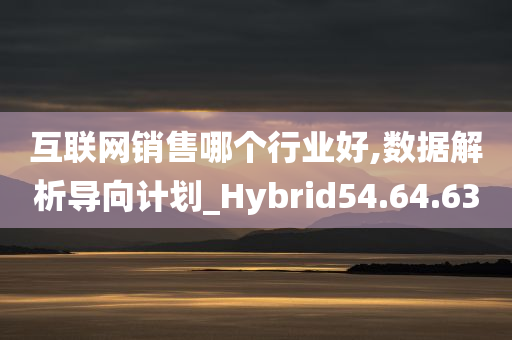 互联网销售哪个行业好,数据解析导向计划_Hybrid54.64.63