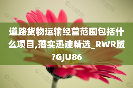 道路货物运输经营范围包括什么项目,落实迅速精选_RWR版?GJU86