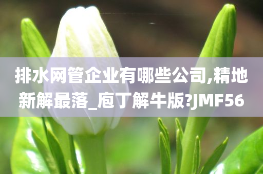 排水网管企业有哪些公司,精地新解最落_庖丁解牛版?JMF56