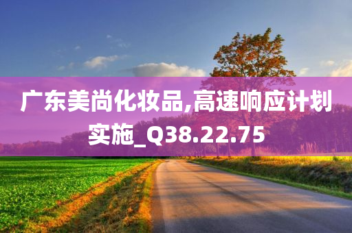 广东美尚化妆品,高速响应计划实施_Q38.22.75