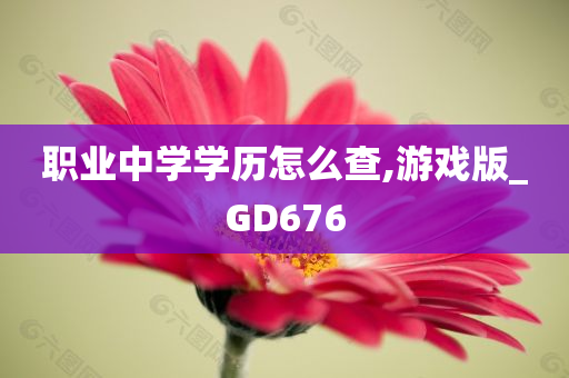 职业中学学历怎么查,游戏版_GD676