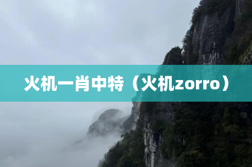 火机一肖中特（火机zorro）