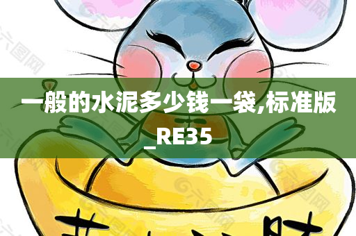 一般的水泥多少钱一袋,标准版_RE35