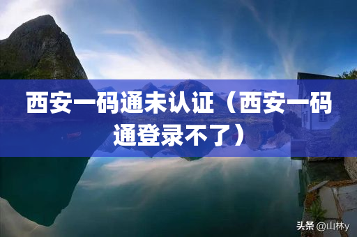 西安一码通未认证（西安一码通登录不了）