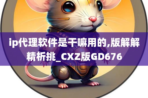 ip代理软件是干嘛用的,版解解精析挑_CXZ版GD676