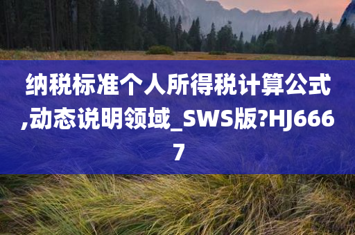 纳税标准个人所得税计算公式,动态说明领域_SWS版?HJ6667