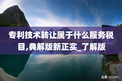 专利技术转让属于什么服务税目,典解版新正实_了解版