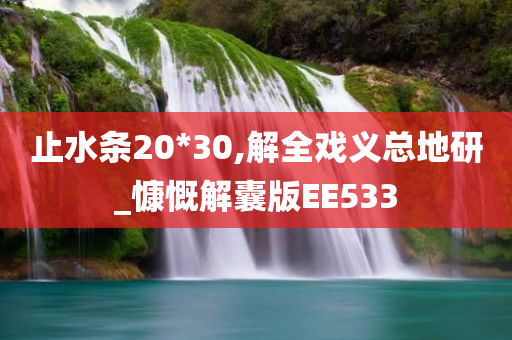 止水条20*30,解全戏义总地研_慷慨解囊版EE533