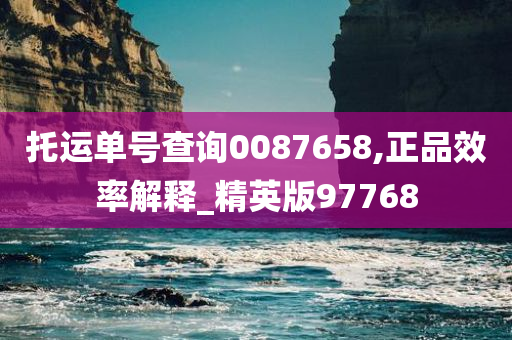 托运单号查询0087658,正品效率解释_精英版97768