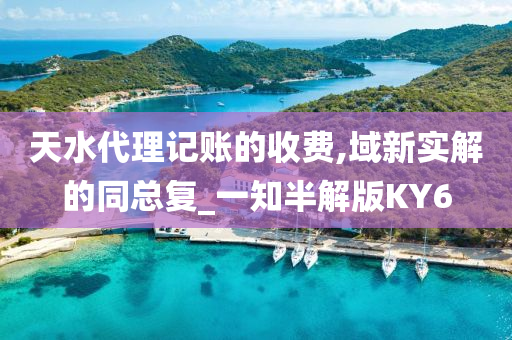 天水代理记账的收费,域新实解的同总复_一知半解版KY6