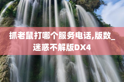 抓老鼠打哪个服务电话,版数_迷惑不解版DX4