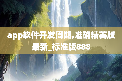 app软件开发周期,准确精英版最新_标准版888