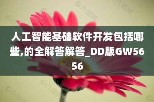 人工智能基础软件开发包括哪些,的全解答解答_DD版GW5656