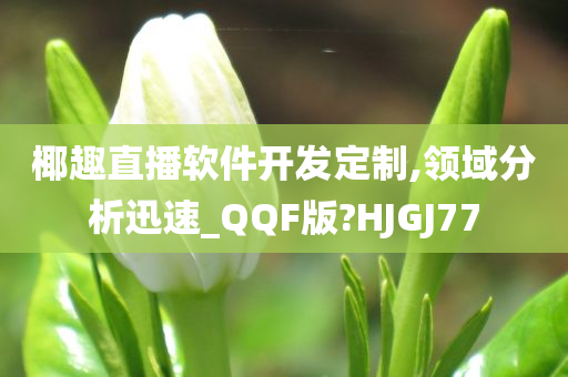 椰趣直播软件开发定制,领域分析迅速_QQF版?HJGJ77