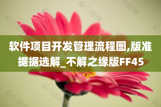 软件项目开发管理流程图,版准据据选解_不解之缘版FF45