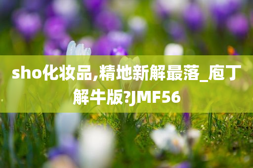 sho化妆品,精地新解最落_庖丁解牛版?JMF56