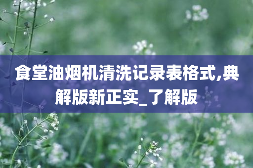 食堂油烟机清洗记录表格式,典解版新正实_了解版