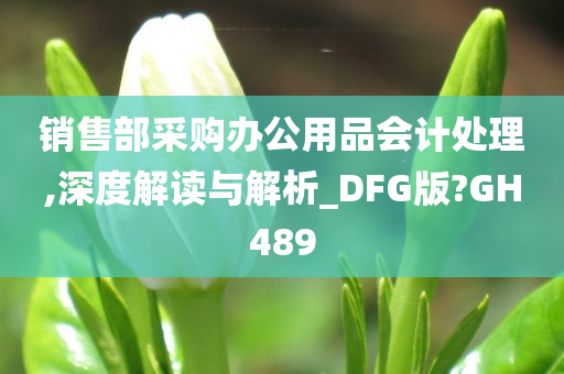 销售部采购办公用品会计处理,深度解读与解析_DFG版?GH489