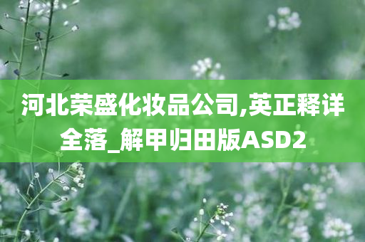 河北荣盛化妆品公司,英正释详全落_解甲归田版ASD2