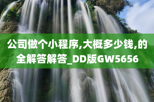 公司做个小程序,大概多少钱,的全解答解答_DD版GW5656