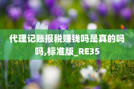 代理记账报税赚钱吗是真的吗吗,标准版_RE35