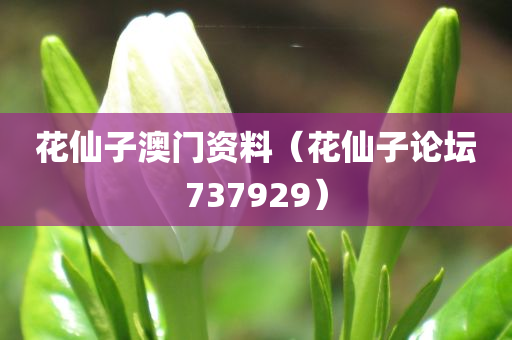 花仙子澳门资料（花仙子论坛737929）