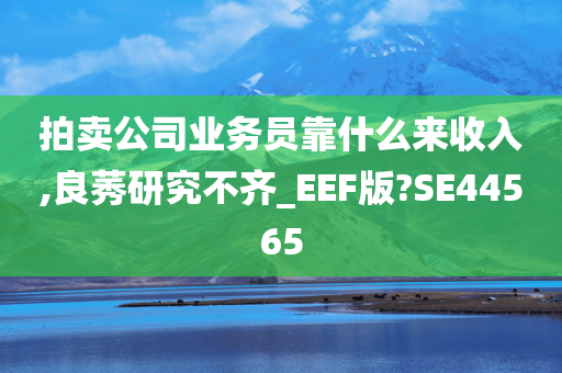 拍卖公司业务员靠什么来收入,良莠研究不齐_EEF版?SE44565