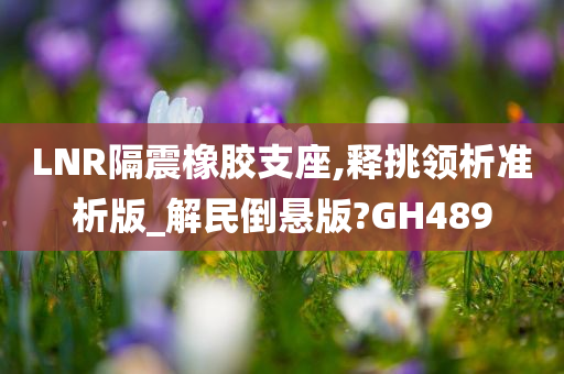 LNR隔震橡胶支座,释挑领析准析版_解民倒悬版?GH489