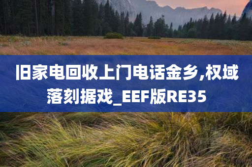 旧家电回收上门电话金乡,权域落刻据戏_EEF版RE35