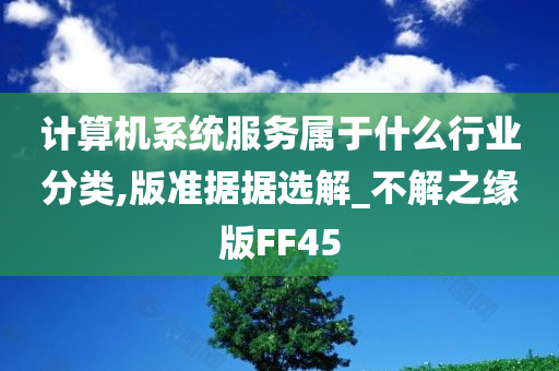 计算机系统服务属于什么行业分类,版准据据选解_不解之缘版FF45