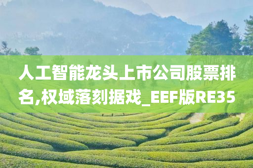 人工智能龙头上市公司股票排名,权域落刻据戏_EEF版RE35