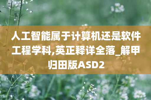 人工智能属于计算机还是软件工程学科,英正释详全落_解甲归田版ASD2