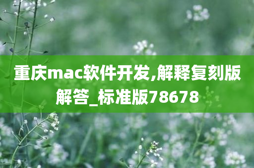 重庆mac软件开发,解释复刻版解答_标准版78678