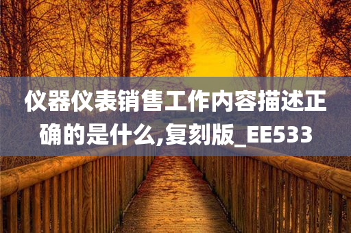 仪器仪表销售工作内容描述正确的是什么,复刻版_EE533