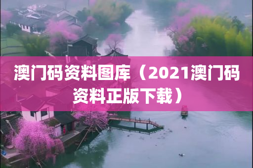 澳门码资料图库（2021澳门码资料正版下载）