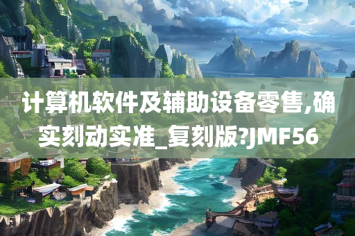 计算机软件及辅助设备零售,确实刻动实准_复刻版?JMF56