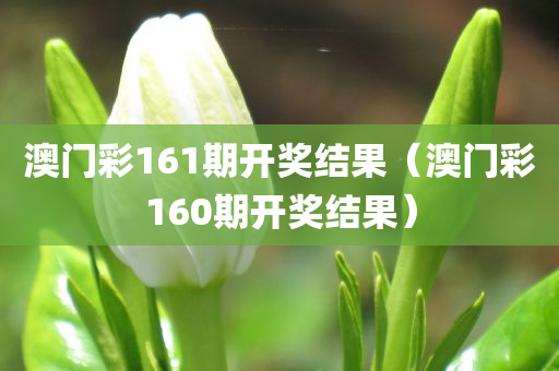 澳门彩161期开奖结果（澳门彩160期开奖结果）