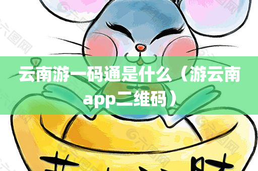 云南游一码通是什么（游云南app二维码）