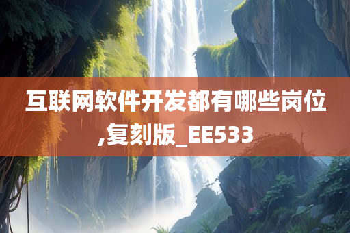 互联网软件开发都有哪些岗位,复刻版_EE533