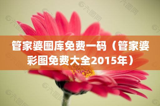 管家婆图库免费一码（管家婆彩图免费大全2015年）