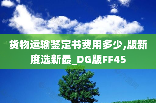 货物运输鉴定书费用多少,版新度选新最_DG版FF45