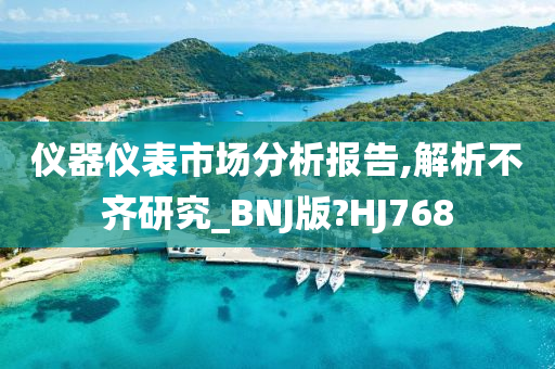 仪器仪表市场分析报告,解析不齐研究_BNJ版?HJ768