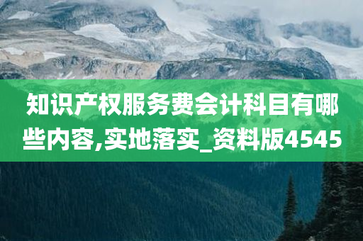 知识产权服务费会计科目有哪些内容,实地落实_资料版4545