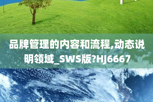 品牌管理的内容和流程,动态说明领域_SWS版?HJ6667